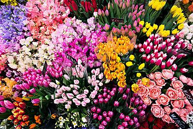 Switch《马里奥激战前锋》22日免费追加2名新角色