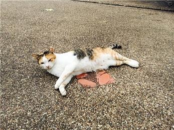 DNF类魂动作RPG《第一狂战士：卡赞》宣布 TGA公布预告